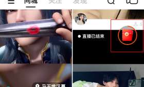 创业计划书运营方法，成功企业的关键指南